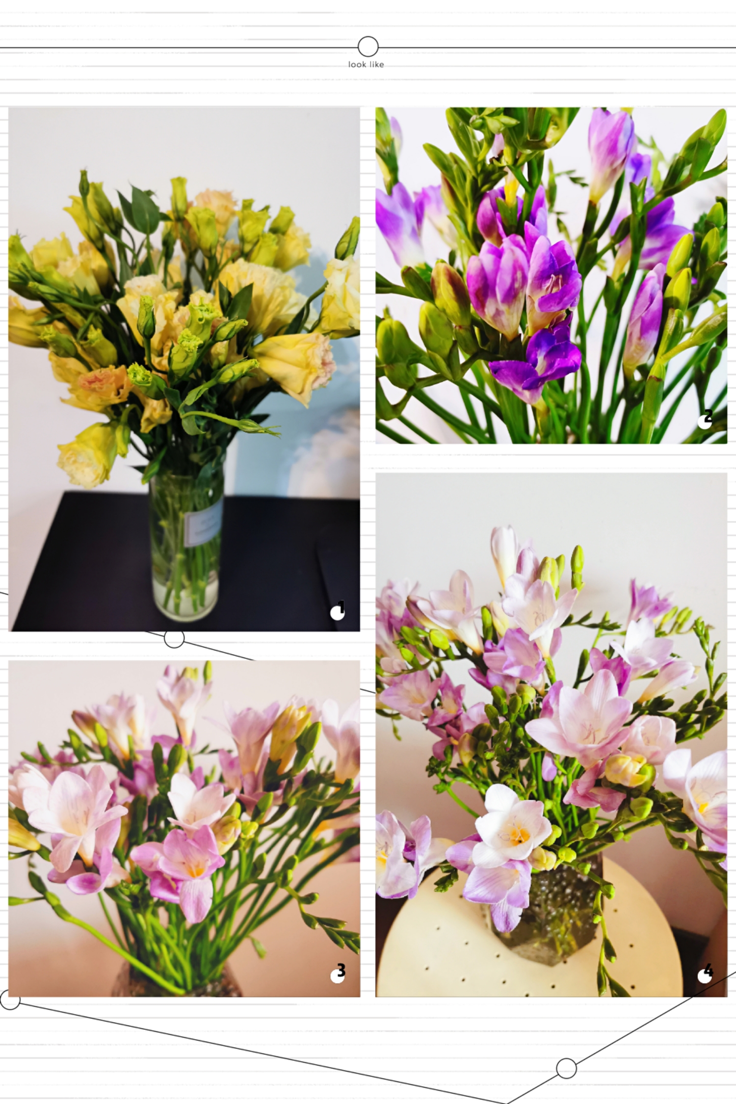 Happy Women’s Day | 戰(zhàn)疫時(shí)期，這個(gè)三八節(jié)，我們“e”起過(guò)！